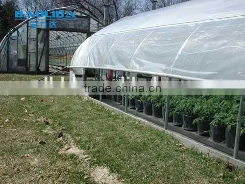 Greenhouse For Agriculture Farming