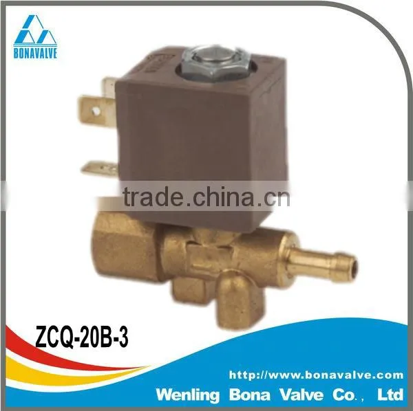 Steam Cleaner/Ironing Brass Solenoid Valve