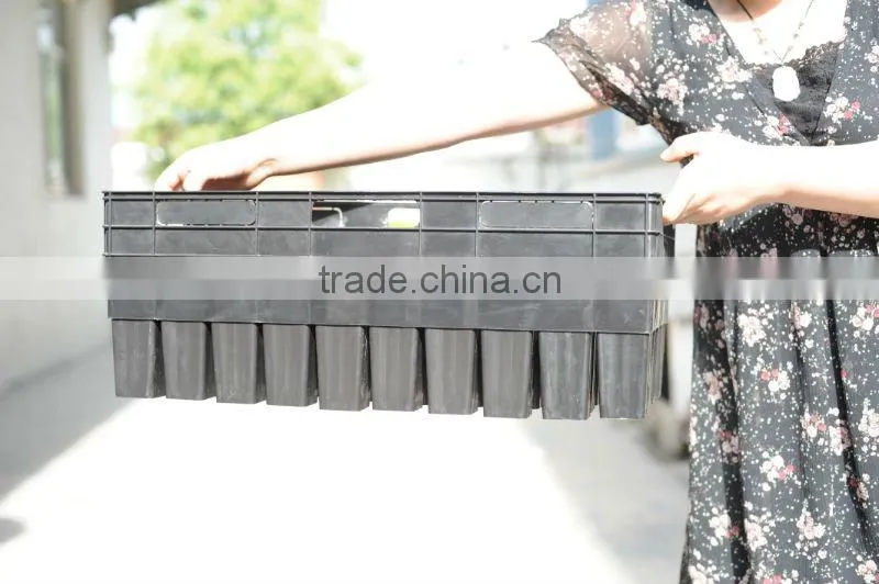 50 Cell Thermoforming Plastic Flower Nursery Seedling Tray for Seed Propagation