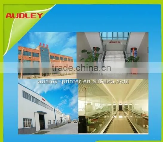 Audley Inkjet Printer Digital Flex Banner Machine Price ADL-A1951/A1651