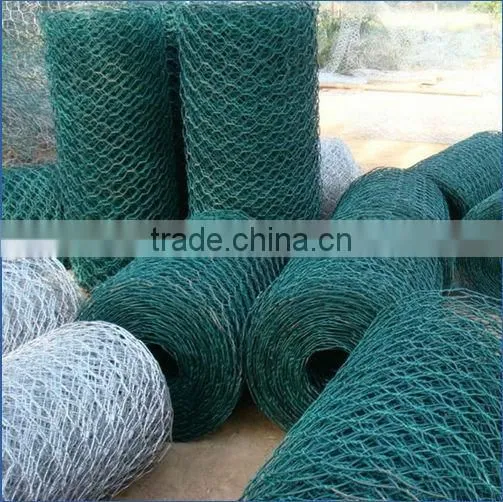 Hexagonal Fencing Plastic Wire Mesh from Guangzhou Supplier