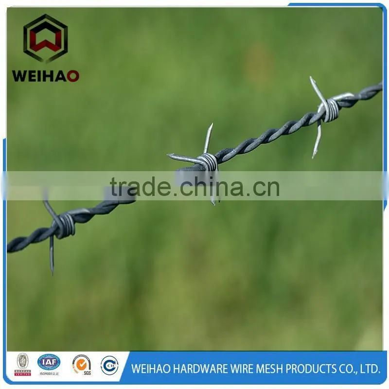 Barbed Wire Philippines Best Price Barbed Wire Machine Concertina Barbed Wire