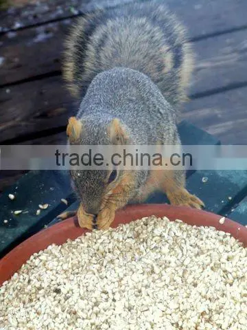 organic safflower seeds for oil