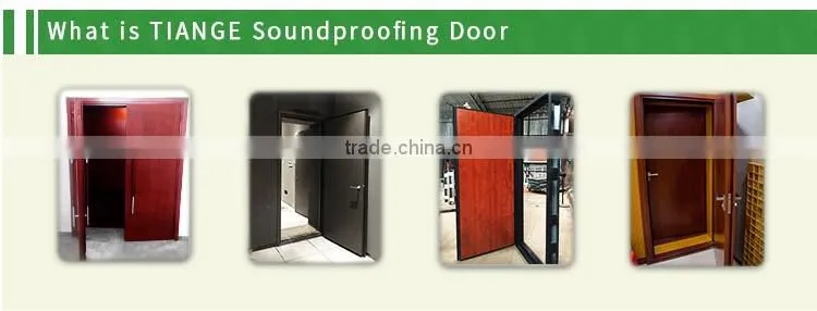Special-use door for cinema with sound proof function