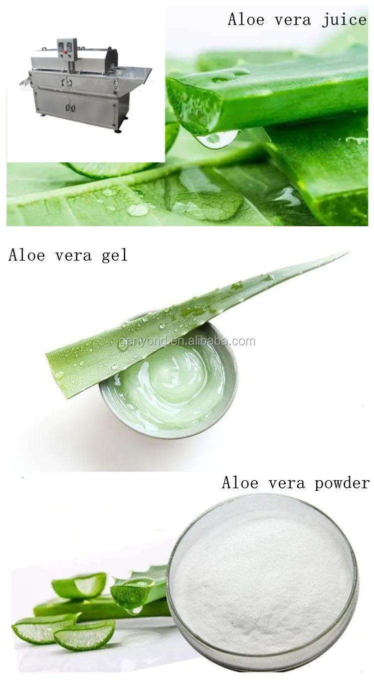High Quality Aloe Vera Gel Processing Line