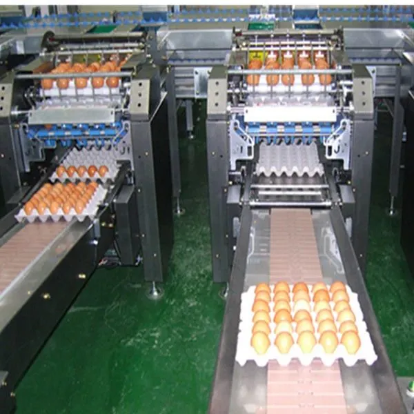 Egg Cleaning Sorting Packing Line