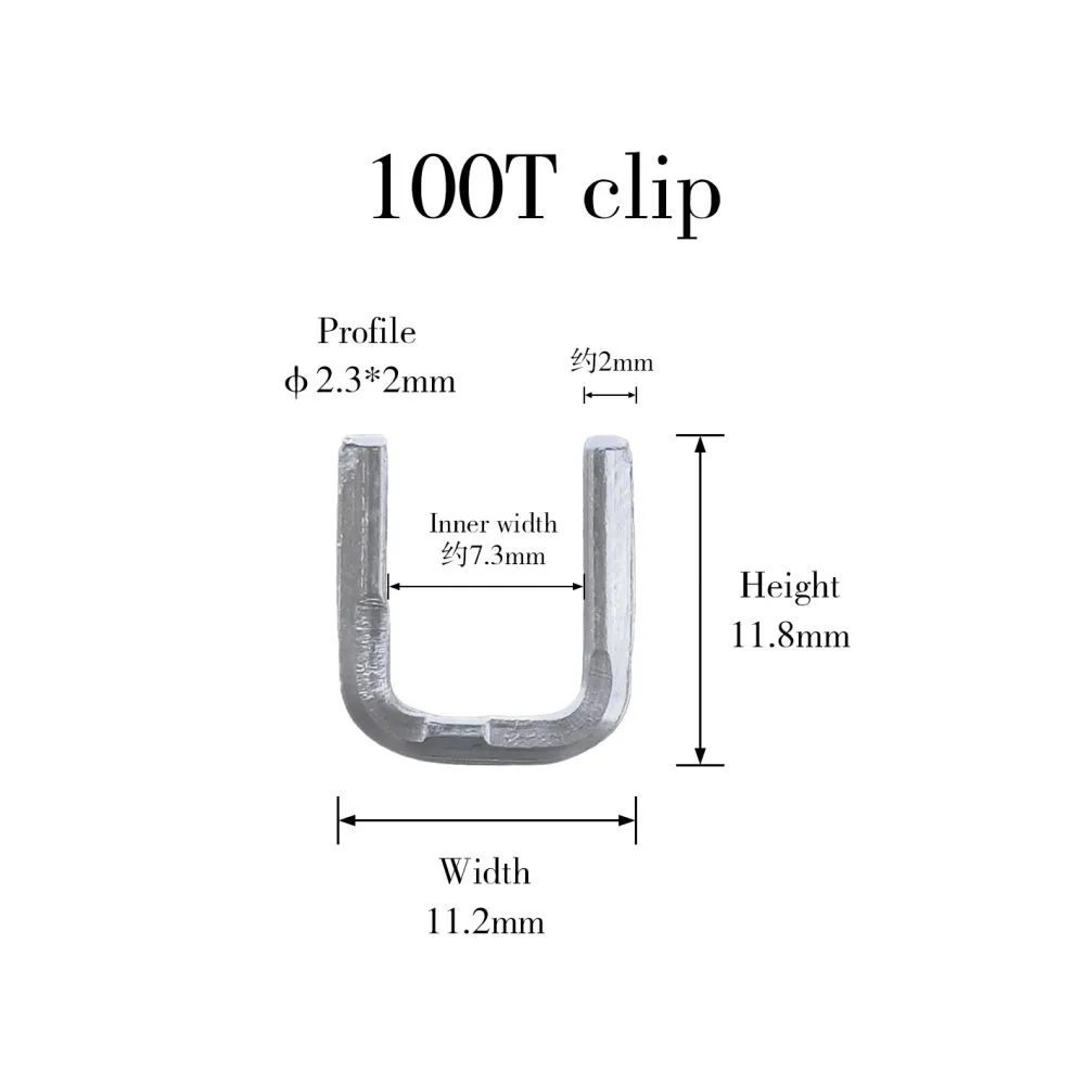 100T.jpg.webp
