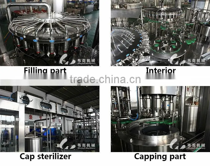 mineral potable water PET bottled filling machines