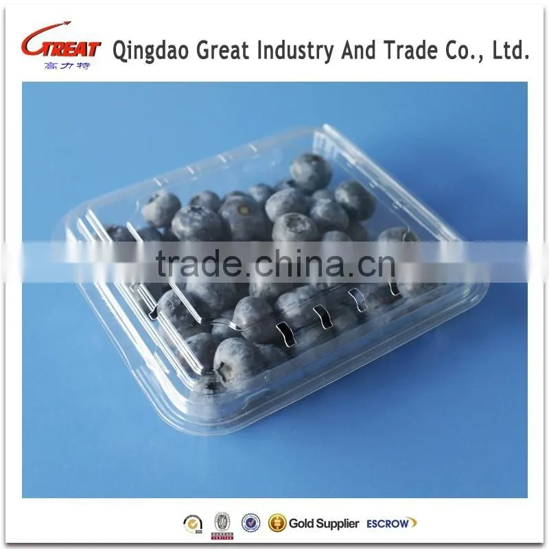 PET Disposable Blister Blueberry Clamshell Container