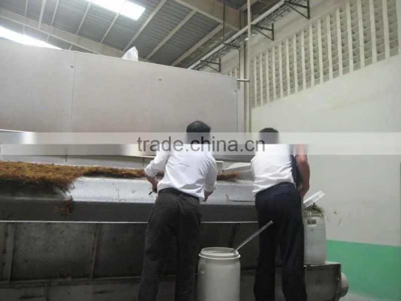 Seaweed mesh belt dryer