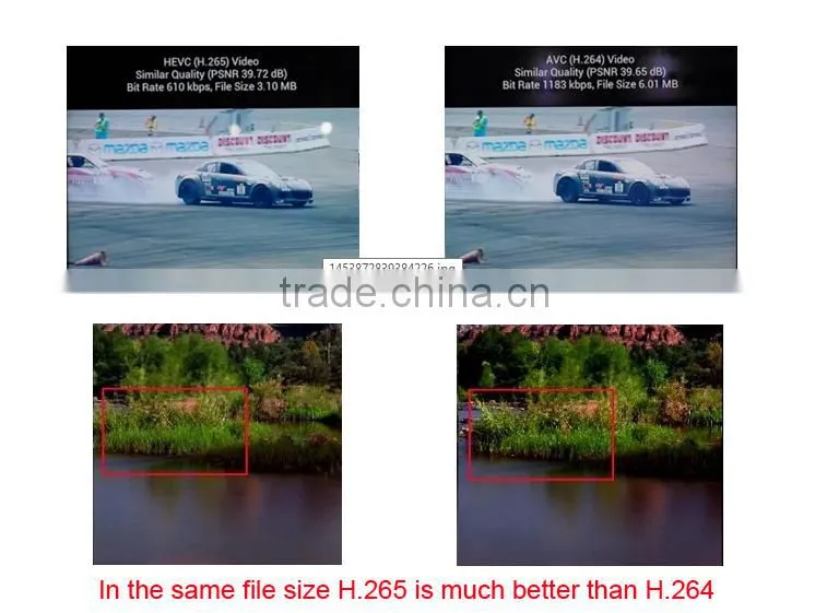 Professional security ip camera with CE certificate