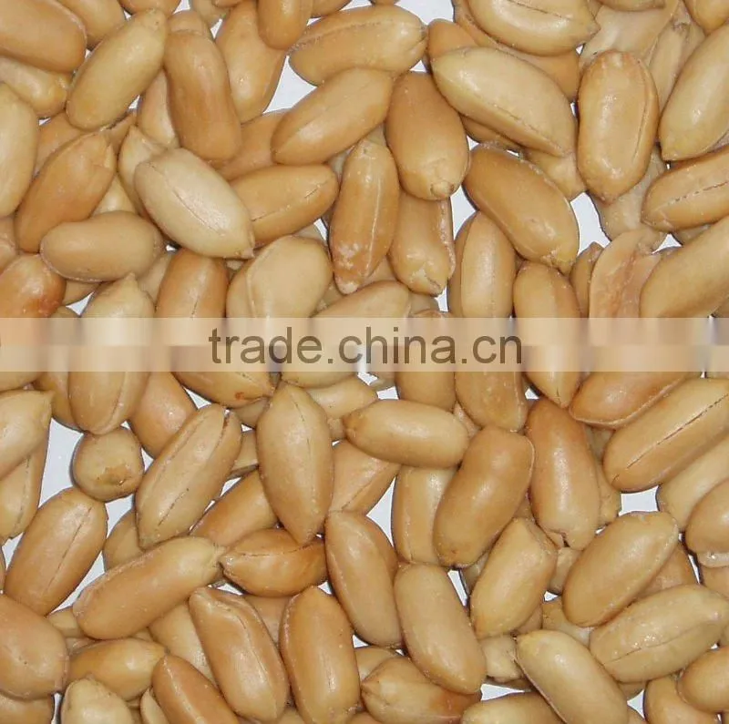 Wholesale roasted red skin peanut