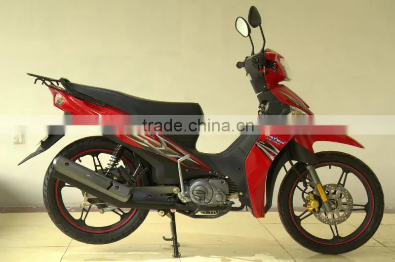 China made dirt cheap motorcycles (ZF110-10)