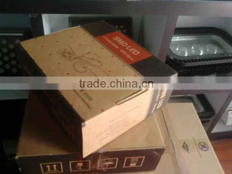 Zhongshan IP67 5050 SMD 12v led lights strip