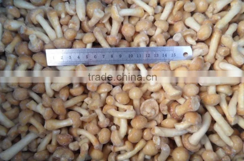 Frozen nameko mushroom from China food supplier