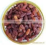 dried fruit-sutlana raisin