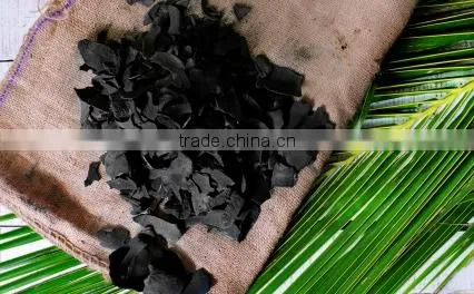 INDONESIA COCONUT PULP, COCONUT FIBER, COCONUT WATER AND CHARCOAL