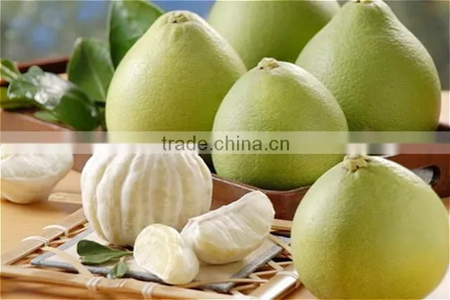 pomelo