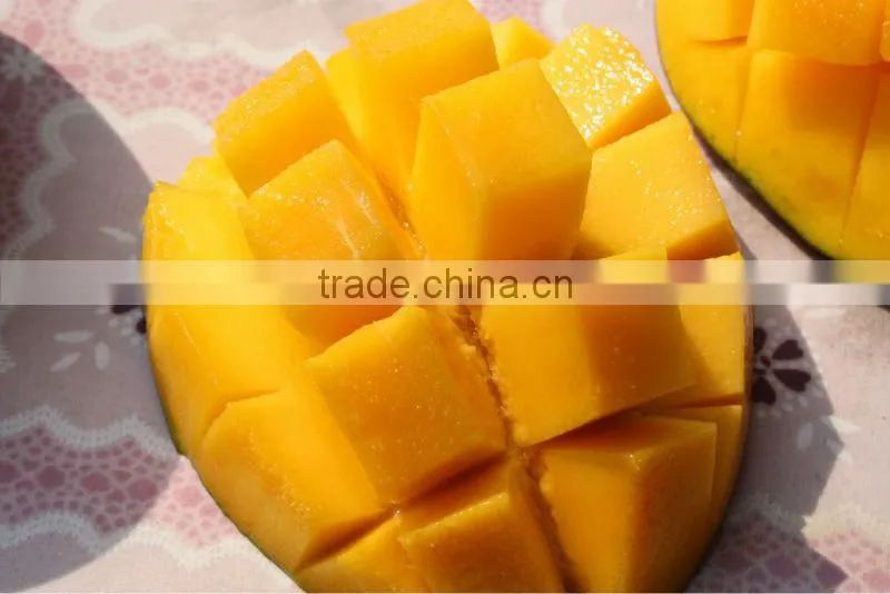 Hot sale ! mango pulping machine