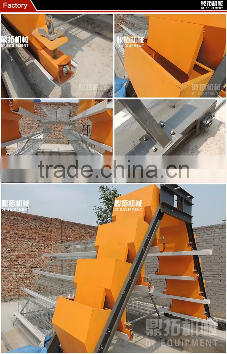 Design automatic equipment A type chicken house in poultry farm