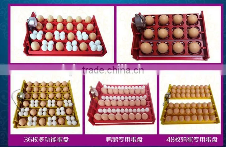 WQ-15 chicken egg incubator