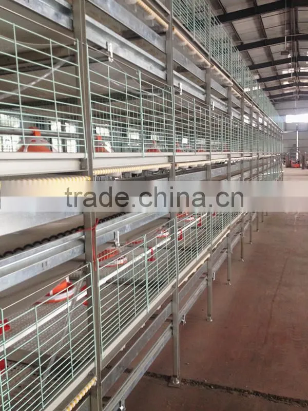 New Design Broiler Cage System