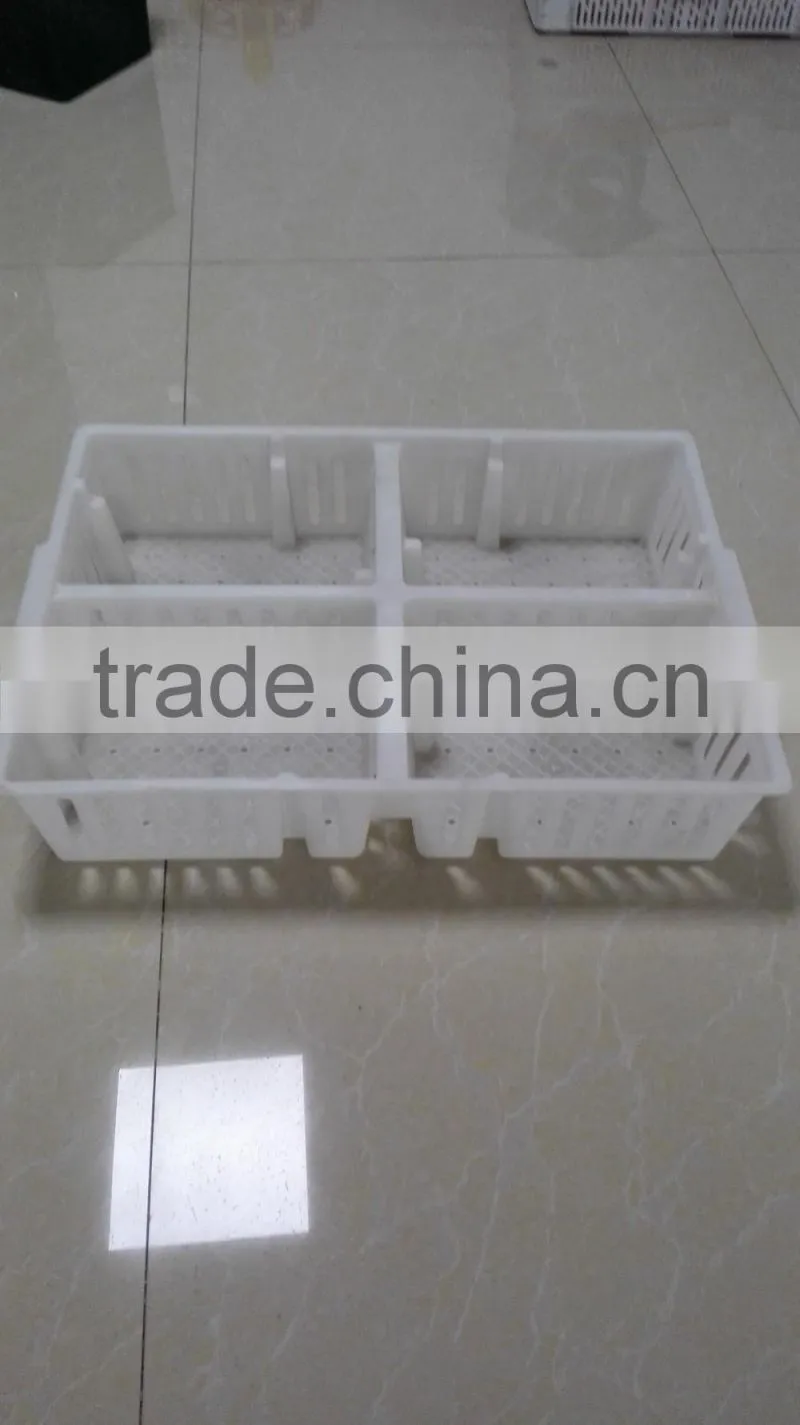 plastic chicken tranport stackable cage/box/crate for child chicken