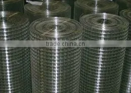 galvanized welded wire mesh