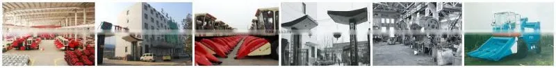 Hot sale 1S series subsoiler machine