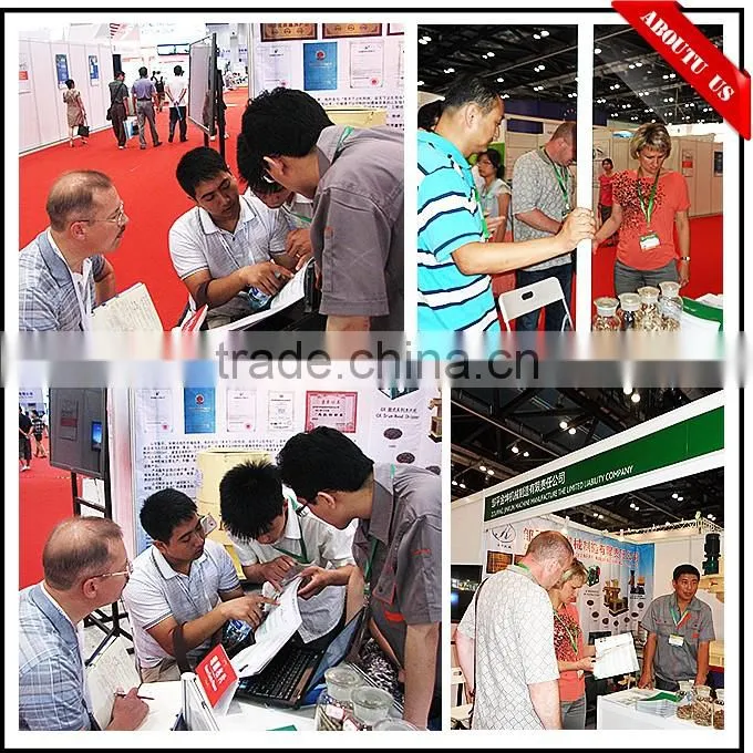 CE certified biomass pellet gasification stove