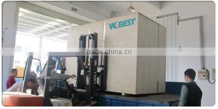 Mung Bean CCD Color Sorter