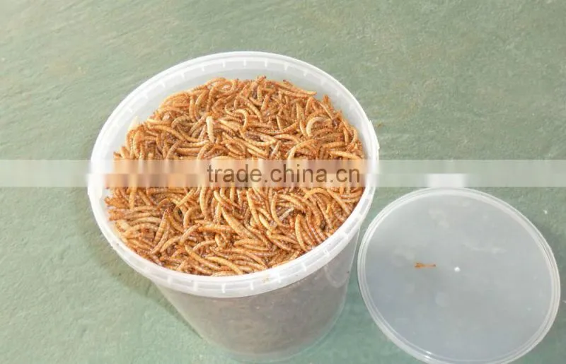 Cat Food Freeze 2.5--2.8 cm Dried Mealworms;Dried Mealworms For Cat