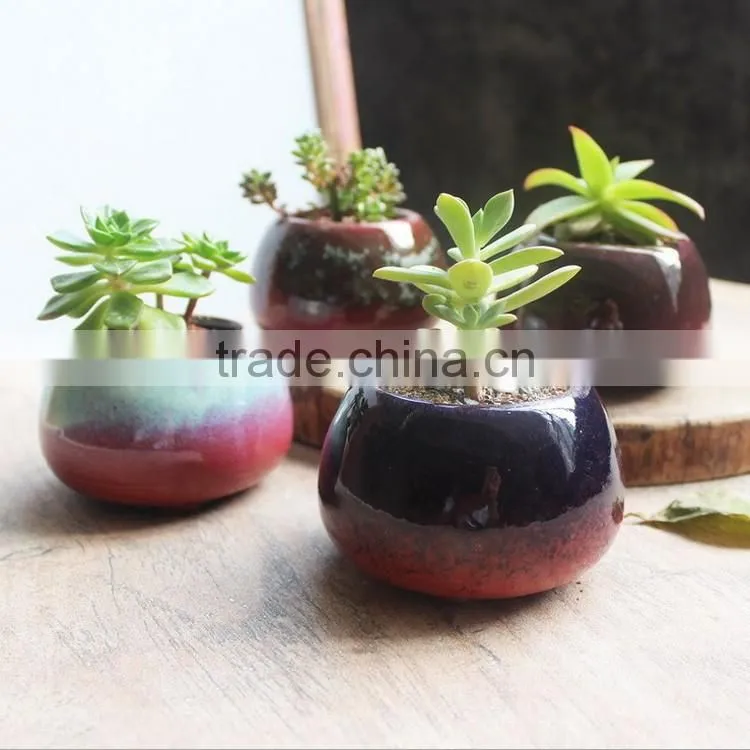 New christmas indoor decor glazed small succulent pot