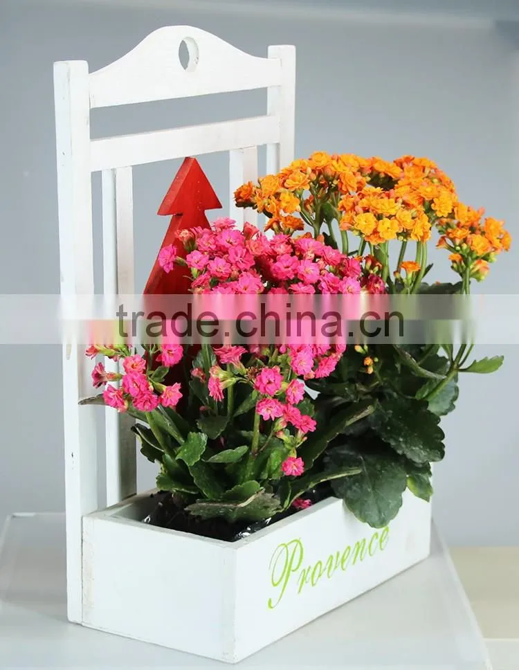 White wooden pots garden and succulent plant pot