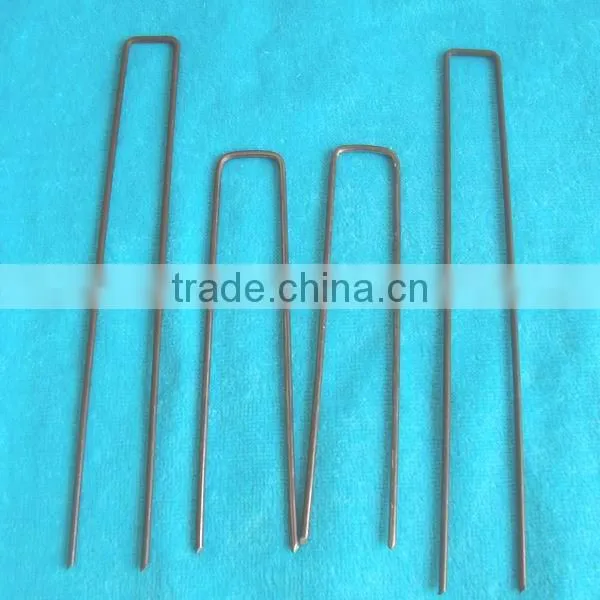 galvanized staples