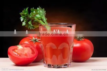 manual vegetable Juicer manufacturer for home use