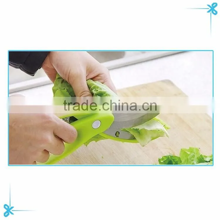 kitchen tool food fruit salad scissors