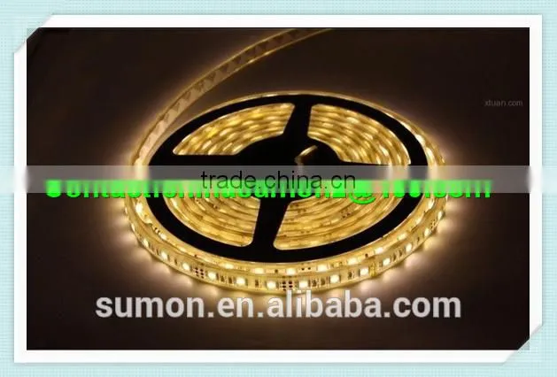 China supplier SMD holiday LED lighting 110 220V 60leds/m dmx rgb led strip light
