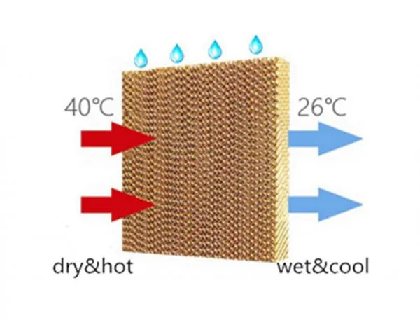 How Do Water Cooled Portable Air Conditioning Units Work?
