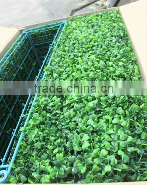 artificial boxwood hedge in sell