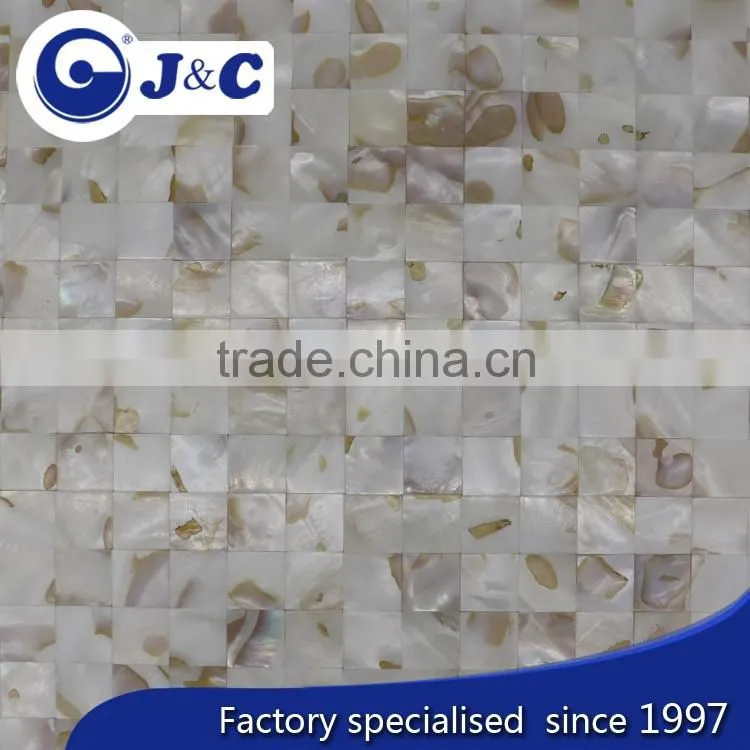 natural varicolored river shell mosaic