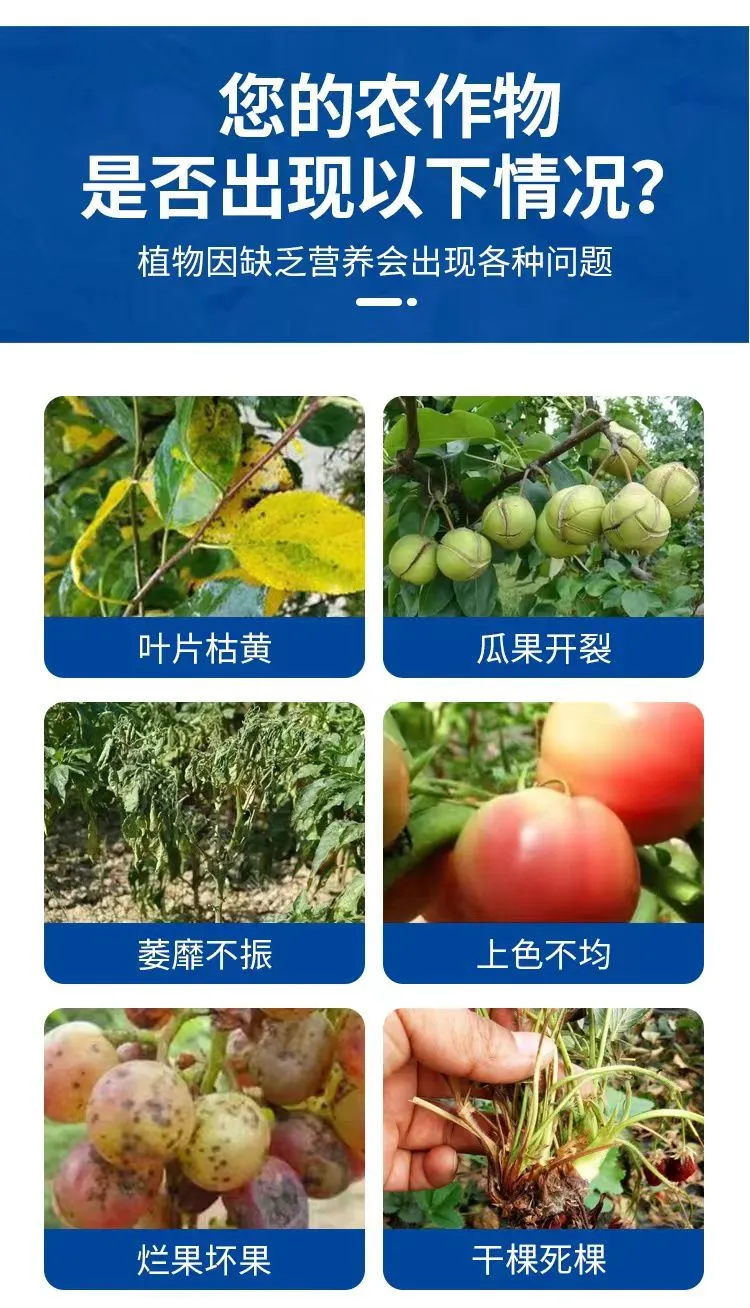 微信图片_202302151029381