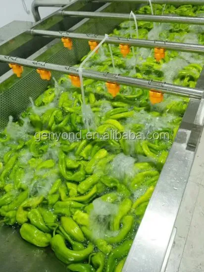 Fruit and Vegetable Processing Machine Blanching Tunnel