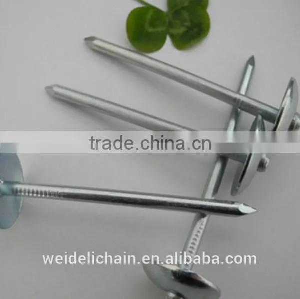 galvanized roofing nails/ umbrella roofing nails