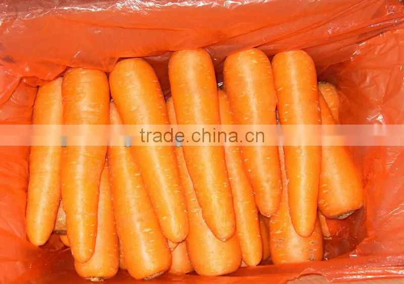 2014 New Red Carrot with 10kg/ctn