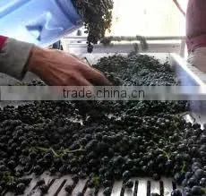 Wine making frist step:grape crushing machine