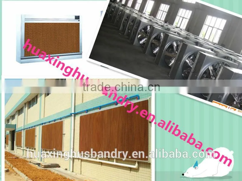 huaxing well selling broiler chicken cage/chicken cage/chicken breeding cage