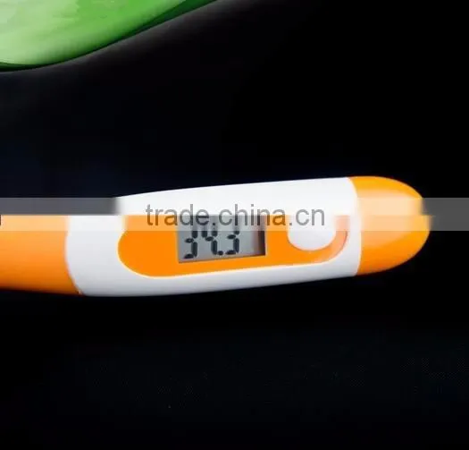 Waterproof Digital Thermometer