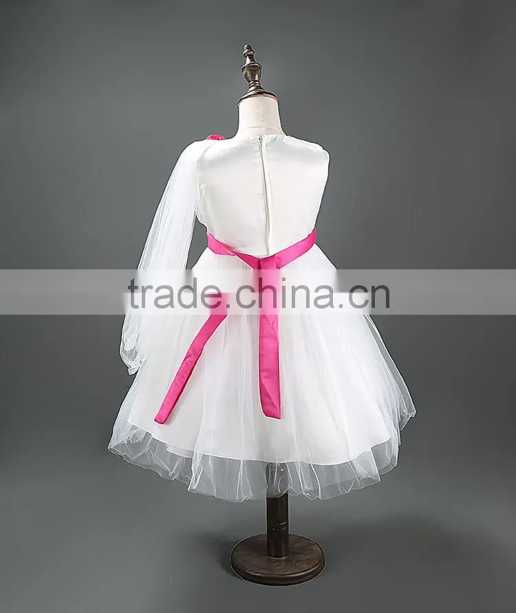 Wholesale lace applique tutu dress chiffon princess dresses for girls of 6 years old TR-WS37