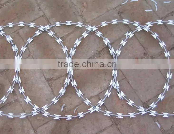 Concertina Razor Wire